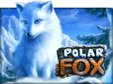 Polar fox online